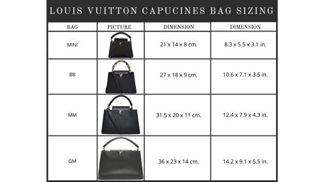 louis vuitton capucines monogram|Louis Vuitton bag size chart.